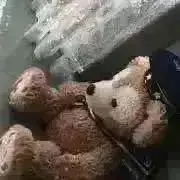 ゆき＊の画像
