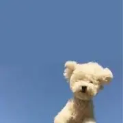 まるの画像