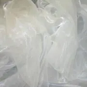 ୨୧の画像