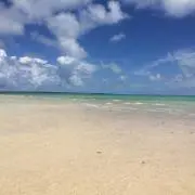 ゆきんこの画像