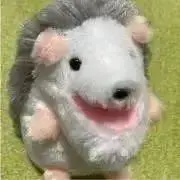 ほしまる。の画像