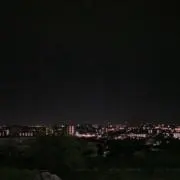 恐竜の画像