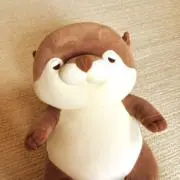 ぽんたろう2023の画像