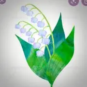 ririの画像