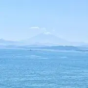 亀ちゃんの画像