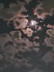 なるの画像