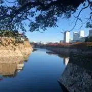 masaの画像