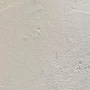 あさがおの画像