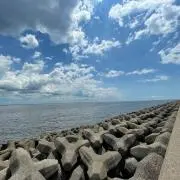BABUの画像