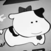 YMの画像