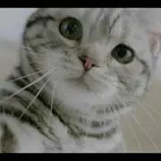 ともとも