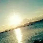 Tの画像