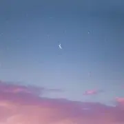 はるの画像