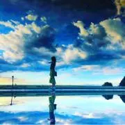 まりもの画像