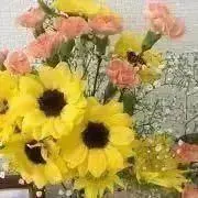 ハナの画像