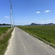 Dominiqueの画像