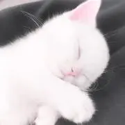 まるこの画像