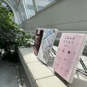 ひかり