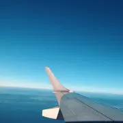 雪板中毒