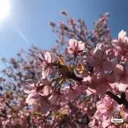 Naoの画像