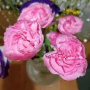 HIRO　タイムセール実施中‼️の画像