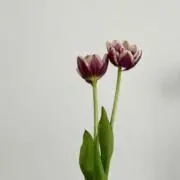 【NICO☆全品値下げOK☆】の画像