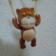 もっちの画像