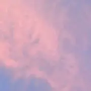 nyaの画像