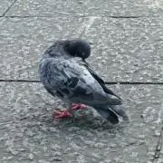 神無月