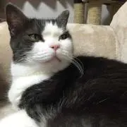 みかん