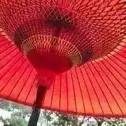 ふの画像