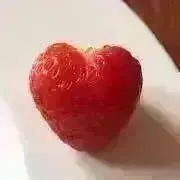 とどどる【単品割引×複数割引○】の画像