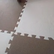 タケノコの画像