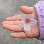 きょち☆の画像