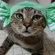 ゆーちん  *プロフ必読*