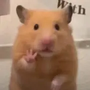る