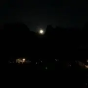 豆電球の画像