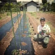 sukeの画像