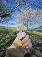 MM♡の画像