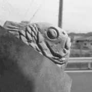 gucho comの画像