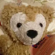 ＫＵＭＡＰＯＯの画像