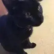 ミサ