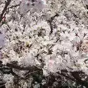 Y&Kの画像