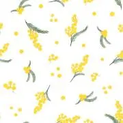 ◎◎の画像