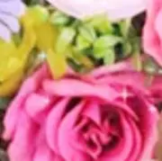 koro/プロフ一読お願いしますの画像