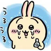 ※プロフ必読　購入専用