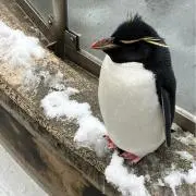 みやさん