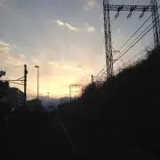 GO