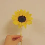 にこにこ( ´ ▽ ` )ノの画像