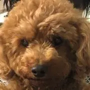 machoco0202の画像